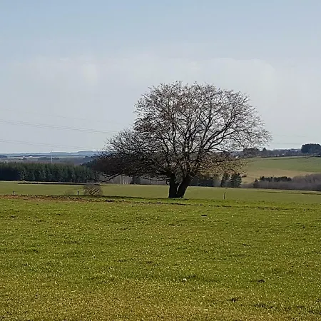 Le Clos De Rosa La-Roche-en-Ardenne